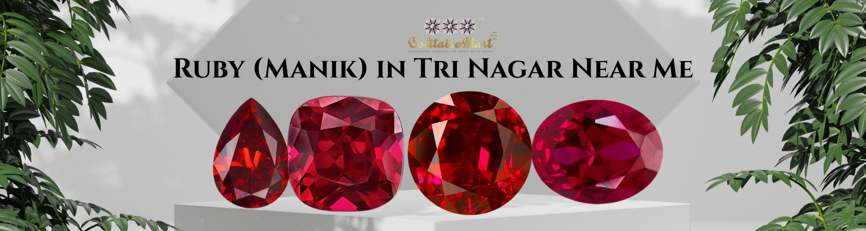 Ruby (Manik) in Tri Nagar Near Me
